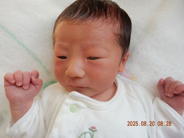 8月19日 田村