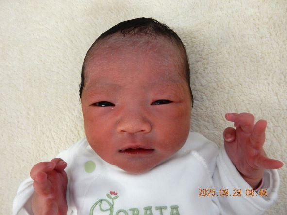 9月28日 木下