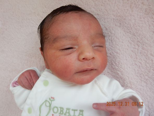 12月30日 カツラヤマ