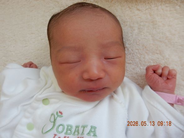 5月12日 林