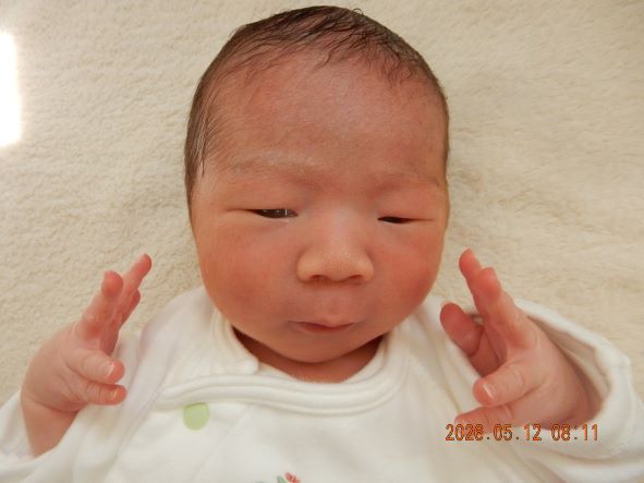 5月11日 梅林