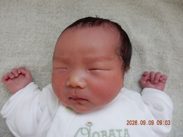 9月08日 東